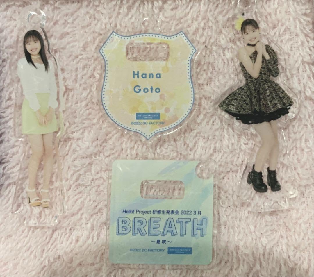 Amazon.co.jp: ハロプロ研修生 後藤花 グッズセット まとめ売り MSK